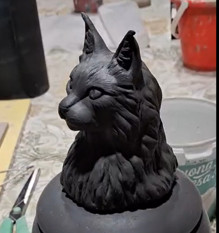 Gatto a pelo lungo